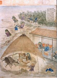 第八圖 糖廍