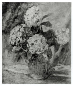 紫陽花